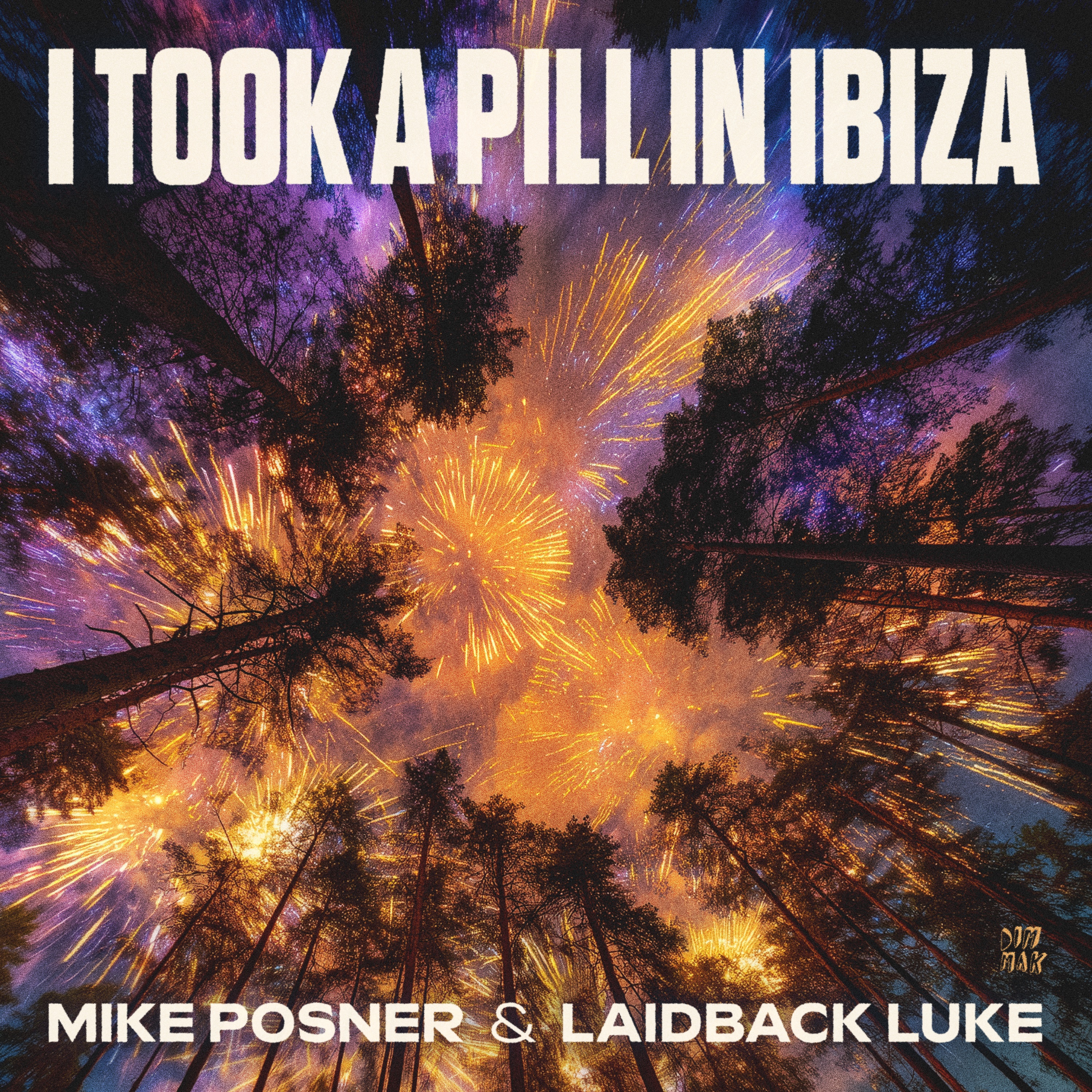 Mike Posner & Laidback Luke - I Took a Pill in Ibiza
