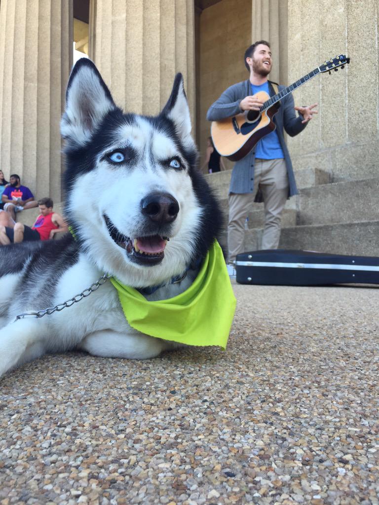 Mike Posner performing at Centennial Park in Nashville, TN May 13, 2015
twitter.com/TylerRichMusic
