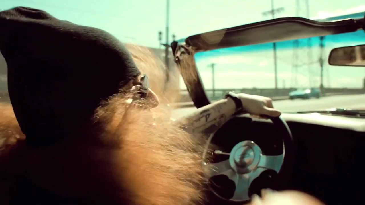 Rittz_-_Switch_Lanes_28Feat__Mike_Posner29_-_Official_Music_Video_0091.jpg