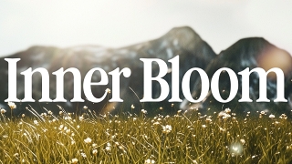 Inner Bloom